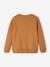 Basics Sweatshirt with Graphic Motifs for Boys pecan nut 