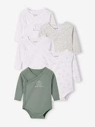 Baby-Bodysuits & Sleepsuits-Pack of 5 Long Sleeve Bodysuits for Newborn Babies