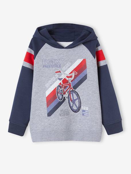 Hoodie with Graphic Motif & Raglan Sleeves, for Boys English green+night blue+pecan nut 