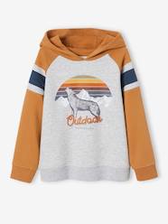 Boys-Cardigans, Jumpers & Sweatshirts-Sweatshirts & Hoodies-Hoodie with Graphic Motif & Raglan Sleeves, for Boys