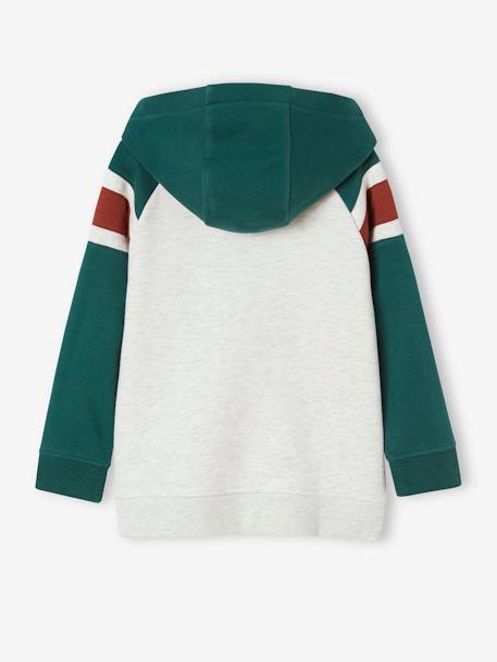 Hoodie with Graphic Motif & Raglan Sleeves, for Boys English green+night blue+pecan nut 