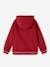 Zipped Sports Jacket with Hood for Boys grey blue+marl grey+navy blue+red 