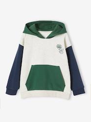 Boys-Cardigans, Jumpers & Sweatshirts-Hooded Colourblock Sweatshirt for Boys