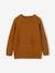 Fancy Knit Jumper for Boys bronze 