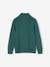 High Neck Jumper with Zip, for Boys fir green+marl blue 