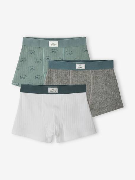 Boys Underwear - Underpants For Kids | Vertbaudet