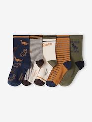 Boys-Pack of 5 Pairs of "Dino" Socks for Boys