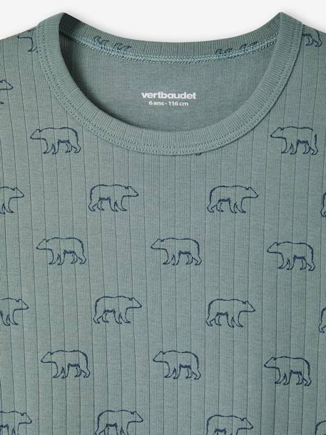 Pack of 3 Short Sleeve Bear Tops in Rib Knit, for Boys emerald green 