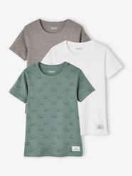 -Pack of 3 Short Sleeve Bear Tops in Rib Knit, for Boys