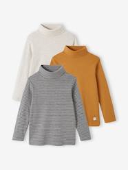 Boys-Tops-Roll Neck T-Shirts-Pack of 3 High Neck Tops for Boys