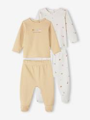 Baby-Pack of 2 Dinosaur Sleepsuits in Interlock Fabric for Babies