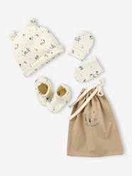 Baby-Accessories-Hats, Scarves, Gloves-Beanie + Mittens + Booties + Pouch Set for Babies