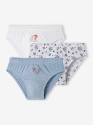 Boys-Pack of 3 Paw Patrol® Briefs for Boys