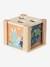 2-in-1 Activity Cube in FSC® Wood: Puzzles & Shapes to Sort & Fit green 