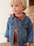 Denim Jacket with Sherpa Lining for Boys stone 