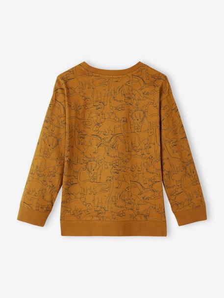 Printed Sweatshirt-Style Top for Boys aqua green+ecru+ochre 