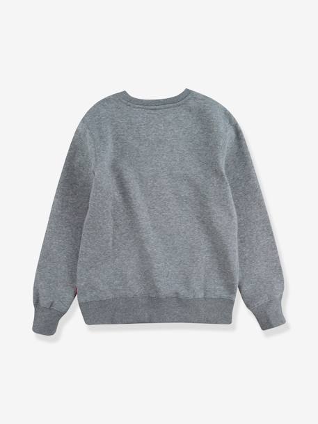 Batwing Crewneck Sweatshirt for Boys, by Levi's® grey 