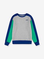 Boys-Cardigans, Jumpers & Sweatshirts-Colourblock Sweatshirt with Logo by Levi's®