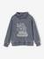 Sweatshirt with Snood Collar, Pirate Ship Motif & Faded Effect for Boys marl grey 