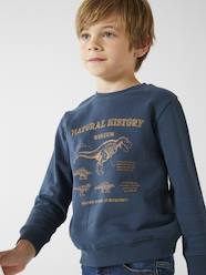 Vertbaudet Printed Sweatshirt-Style Top for Boys Ochre