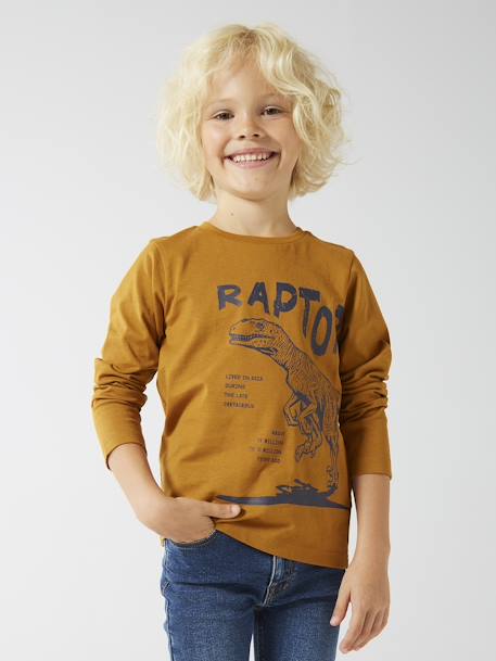 Basics Long Sleeve Top with Fun or Graphic Motif for Boys grey blue+marl beige+marl white+navy blue+night blue+ochre+pecan nut+white 