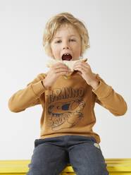 Boys-Cardigans, Jumpers & Sweatshirts-Basics Sweatshirt with Graphic Motifs for Boys