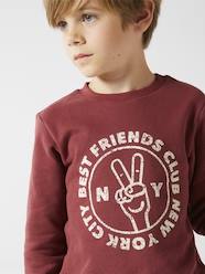 Basics Sweatshirt with Graphic Motifs for Boys