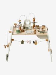 Toys-Tanzania Progressive Activity Table in FSC® Wood