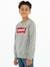 Batwing Crewneck Sweatshirt for Boys, by Levi's® grey 