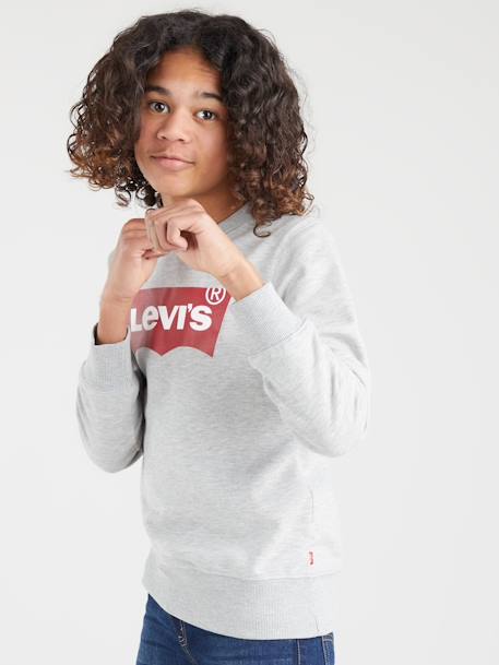 Batwing Crewneck Sweatshirt for Boys, by Levi's® grey 