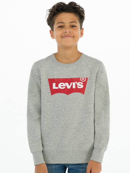 Batwing Crewneck Sweatshirt for Boys, by Levi's® grey 