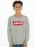 Batwing Crewneck Sweatshirt for Boys, by Levi's® grey 