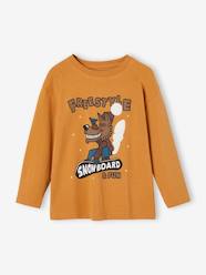 Boys-Tops-T-Shirts-Top with Fancy Animation in Recycled Cotton for Boys