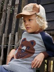 Boys-Cardigans, Jumpers & Sweatshirts-Jumpers-Jacquard Bear Jumper with Raglan Sleeves for Boys