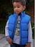 Hooded Jacket with Detachable Sleeves, Polar Fleece Lining, for Boys electric blue 