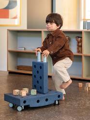 Toys-Playsets-Curiosity Kit, MODU