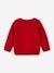 Christmas Special Jumper for Babies red 