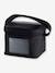 Cooler Bag - Compartment & Ice Pack + 4 Bottles, MEDELA black 