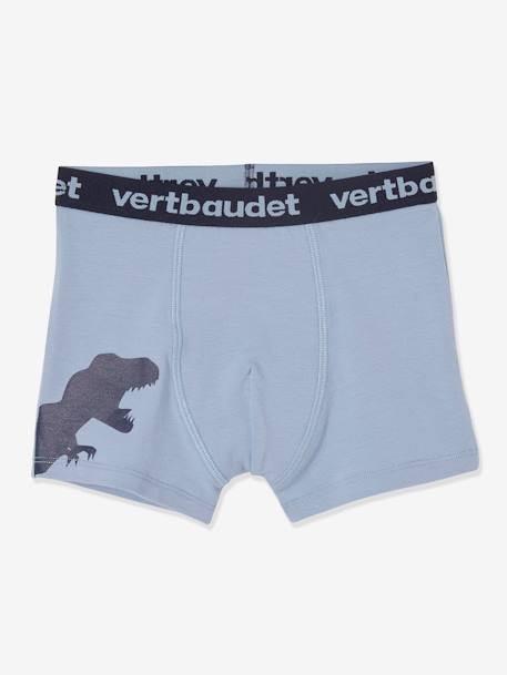 Pack of 5 Stretch Boxers for Boys, Dinosaurs Light Grey/Print 