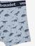 Pack of 5 Stretch Boxers for Boys, Dinosaurs Light Grey/Print 
