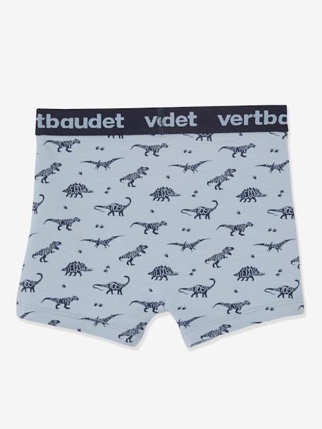 Pack of 5 Stretch Boxers for Boys, Dinosaurs Light Grey/Print 