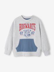 -Harry Potter® Sweatshirt for Boys