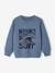 Basics Sweatshirt with Graphic Motif for Boys grey blue+marl beige+pistachio 