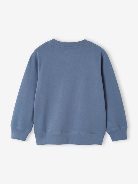 Basics Sweatshirt with Graphic Motif for Boys grey blue+marl beige+pistachio 