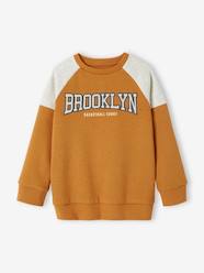 -Team Brooklyn Colourblock Sports Sweatshirt for Boys