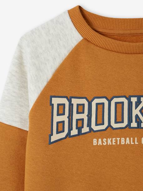 Team Brooklyn Colourblock Sports Sweatshirt for Boys pecan nut+royal blue 