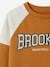 Team Brooklyn Colourblock Sports Sweatshirt for Boys pecan nut+royal blue 