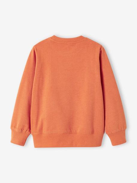 Basics Sweatshirt with Graphic Motif for Boys apricot+marl beige+pistachio 