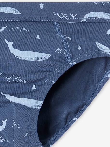 Pack of 7 Whale Briefs in Stretch Organic Cotton for Boys sky blue 