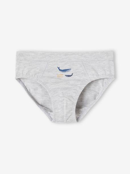 Pack of 7 Whale Briefs in Stretch Organic Cotton for Boys sky blue 